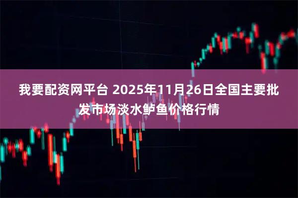 我要配资网平台 2025年11月26日全国主要批发市场淡水鲈鱼价格行情
